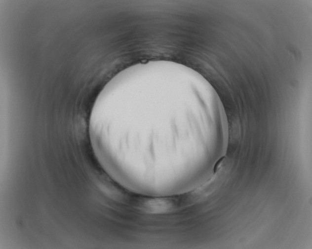 X0000113330183200910131156
