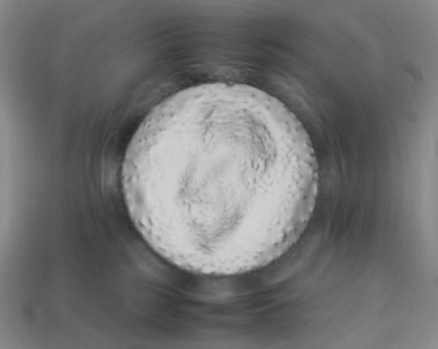 X0000113330185200910131156