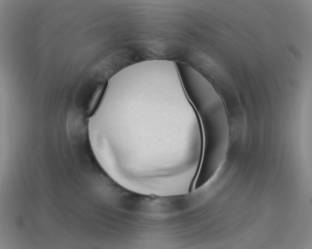 X0000113330186200910131156