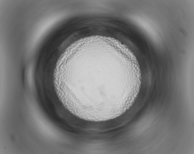 X0000113330189200910131156