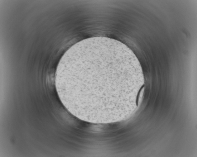 X0000113330190200910131156