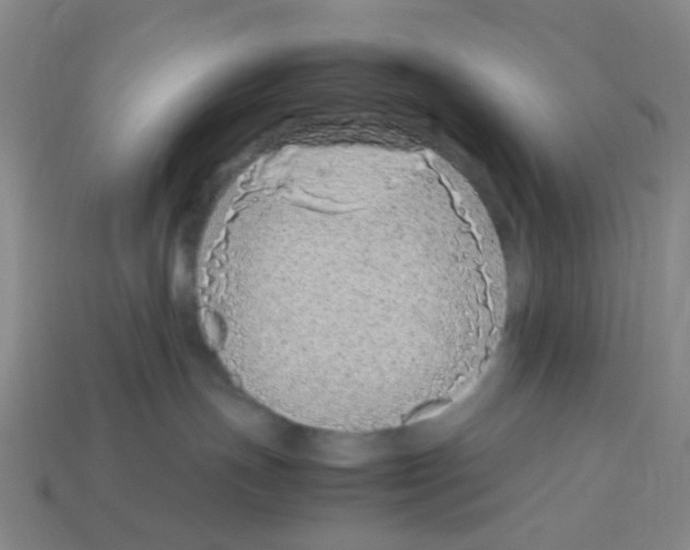 X0000113330191200910131156