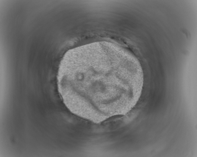 X0000113330192200910131156