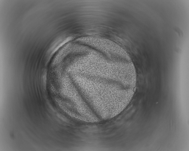 X0000113330194200910131155