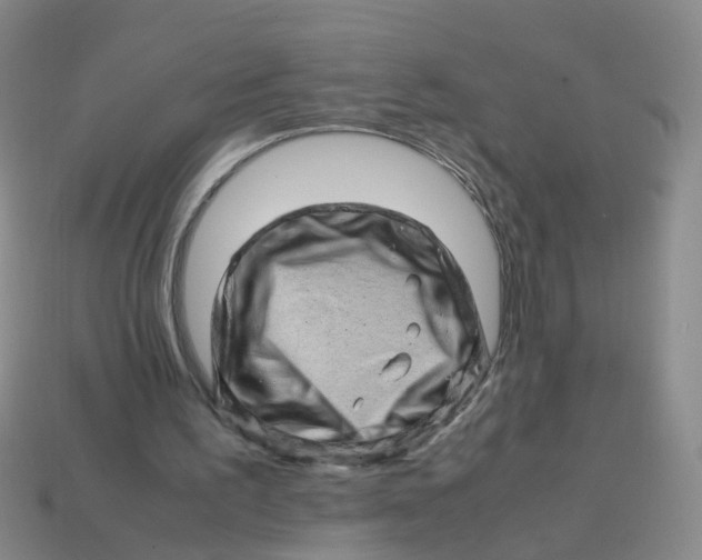 X0000113330195200910131155