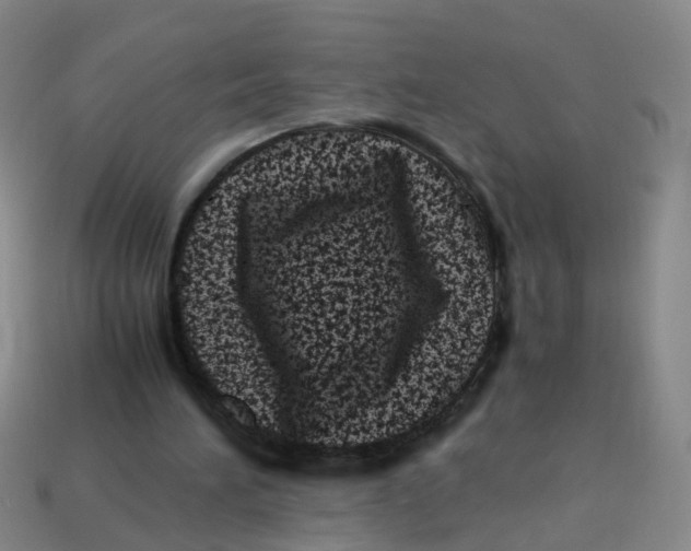 X0000113330196200910131155