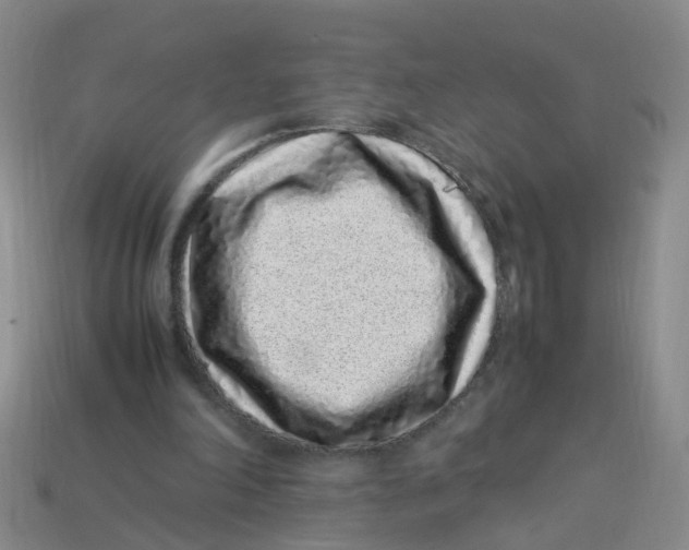 X0000113330198200910131155