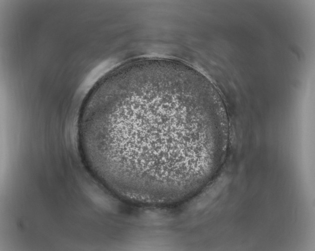 X0000113330199200910131155