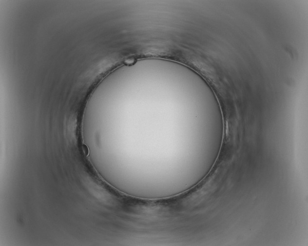X0000113330201200910131155
