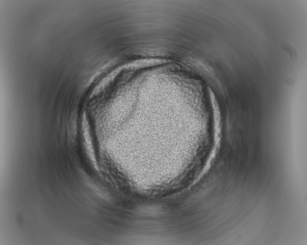 X0000113330202200910131155