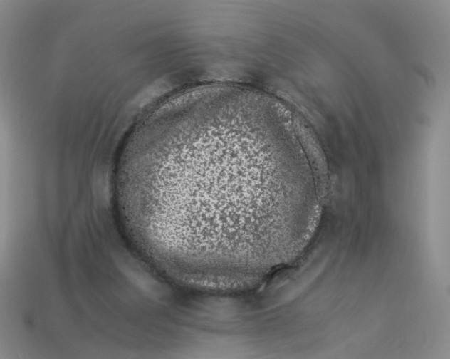 X0000113330203200910131155
