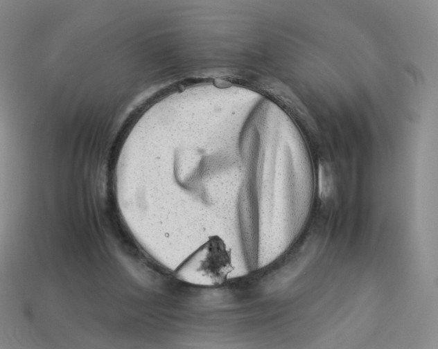 X0000113330204200910131155