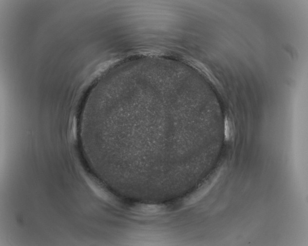 X0000113330205200910131155