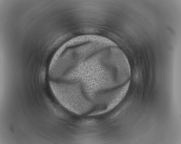 X0000113330206200910131155