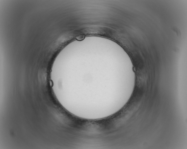 X0000113330207200910131155