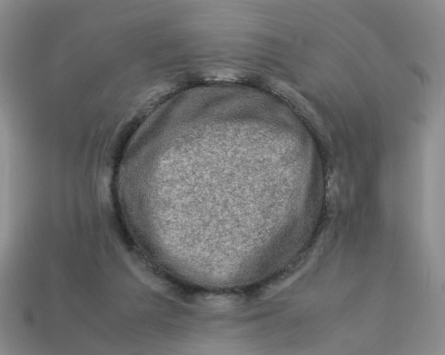 X0000113330209200910131155