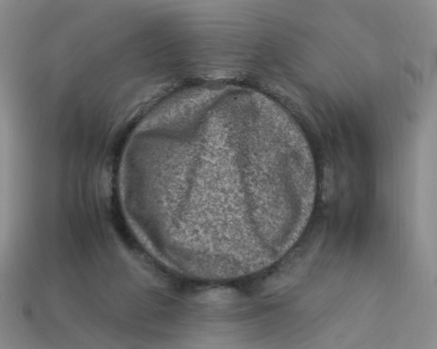 X0000113330210200910131155