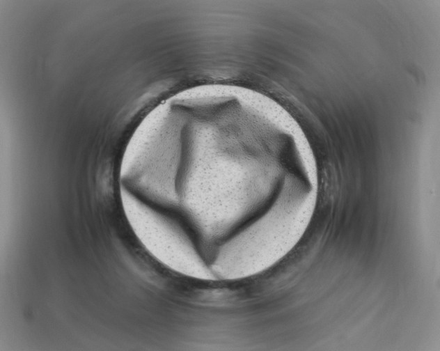 X0000113330212200910131155
