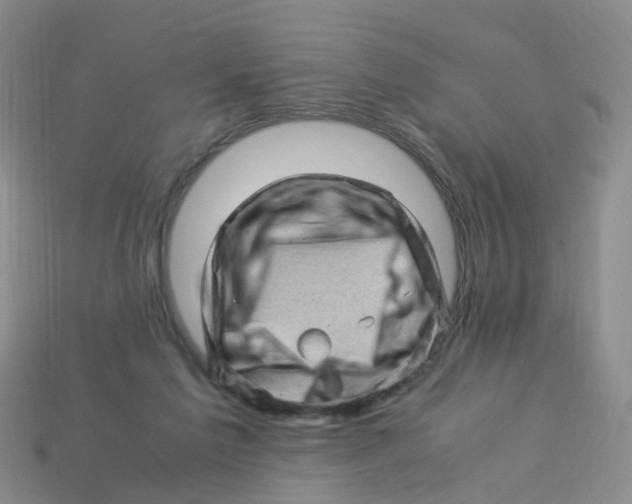 X0000113330213200910131155