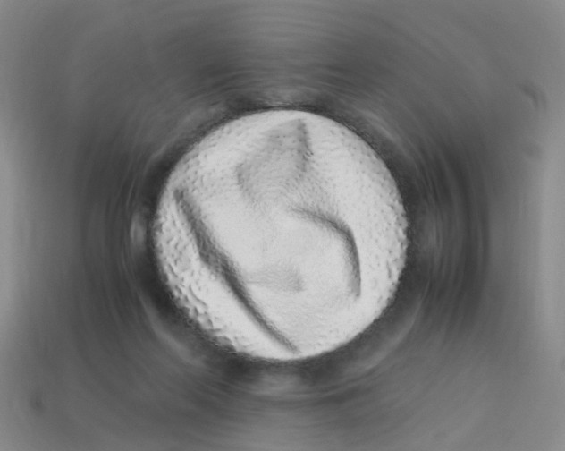 X0000113330214200910131155