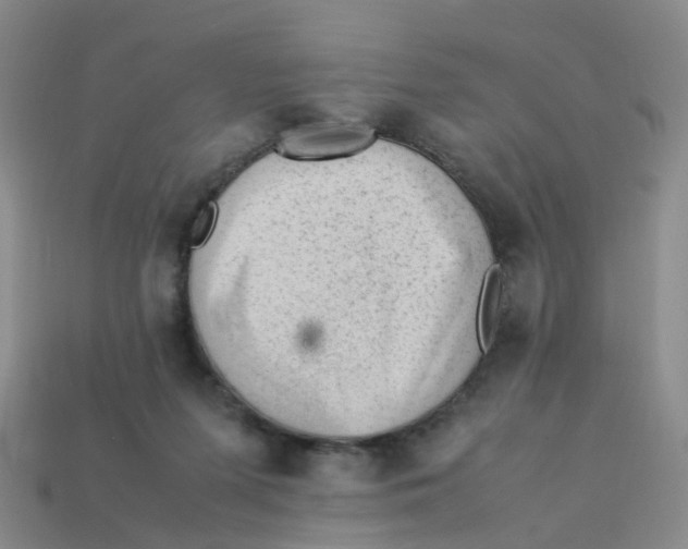 X0000113330215200910131155