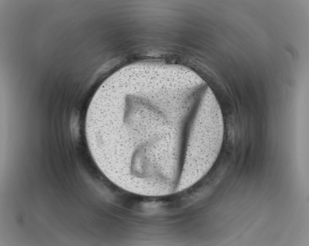 X0000113330216200910131155