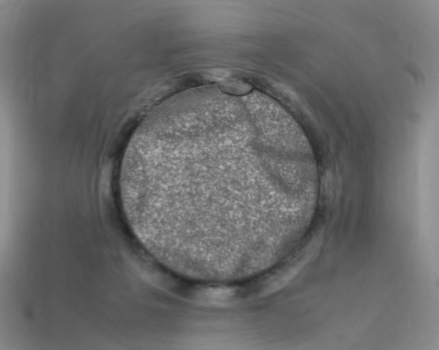 X0000113330217200910131155