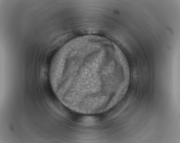 X0000113330218200910131155