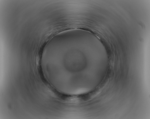 X0000113330219200910131155
