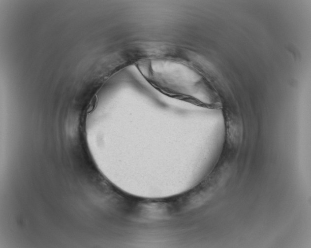 X0000113330221200910131155