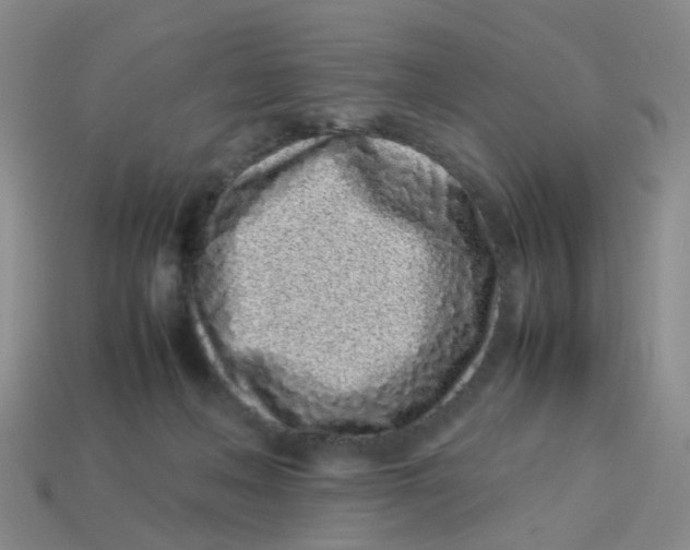 X0000113330222200910131155