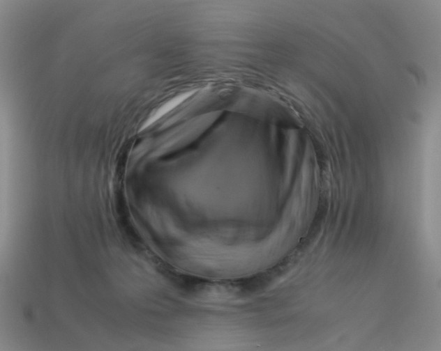 X0000113330223200910131155