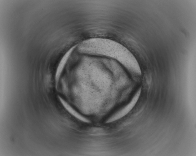 X0000113330224200910131155