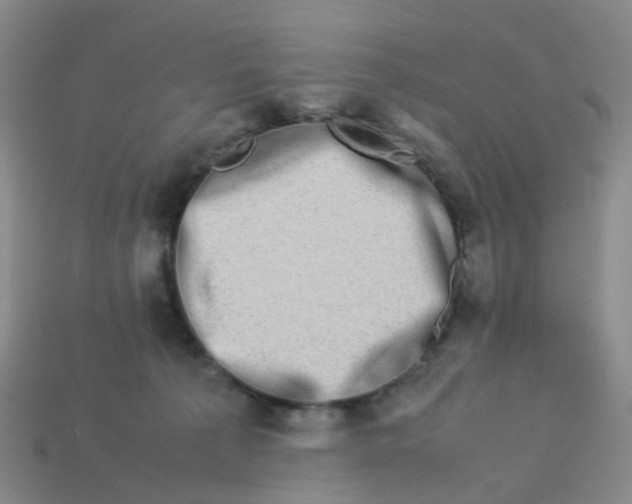 X0000113330225200910131155