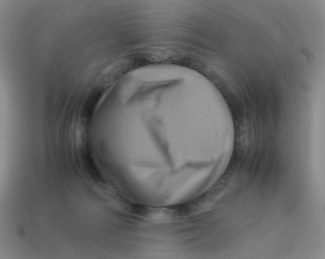 X0000113330226200910131155