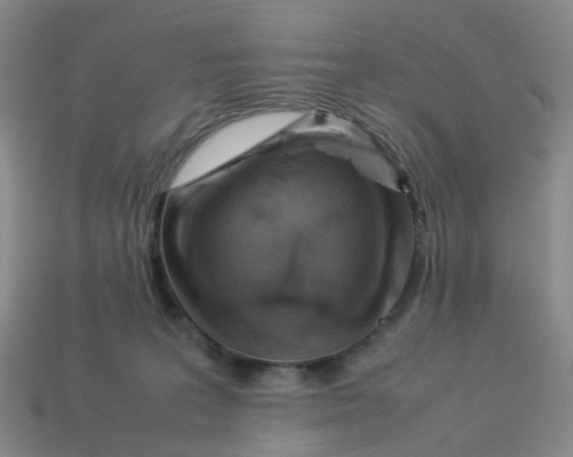 X0000113330227200910131155