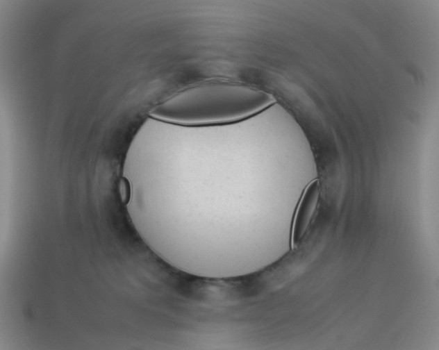 X0000113330229200910131155