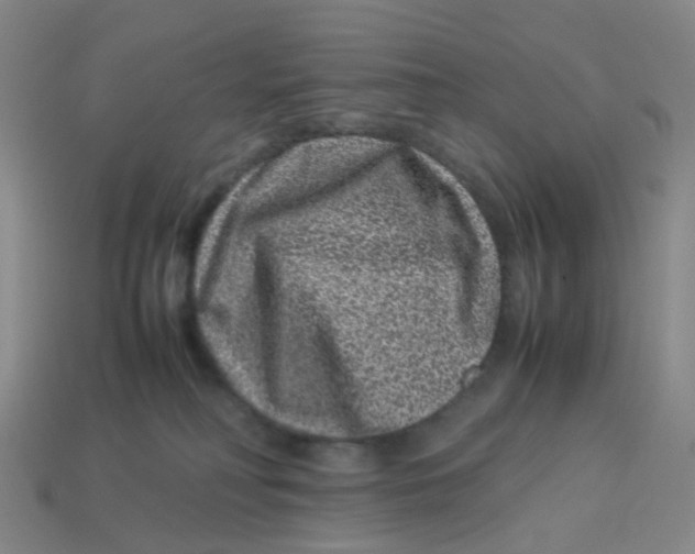 X0000113330230200910131155