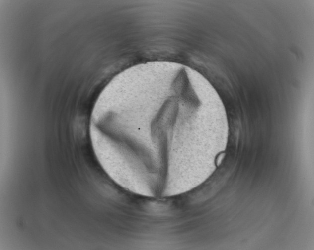 X0000113330232200910131155