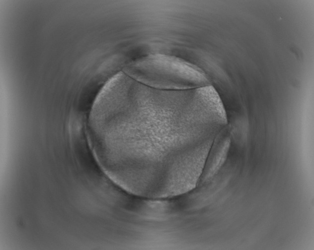 X0000113330233200910131155