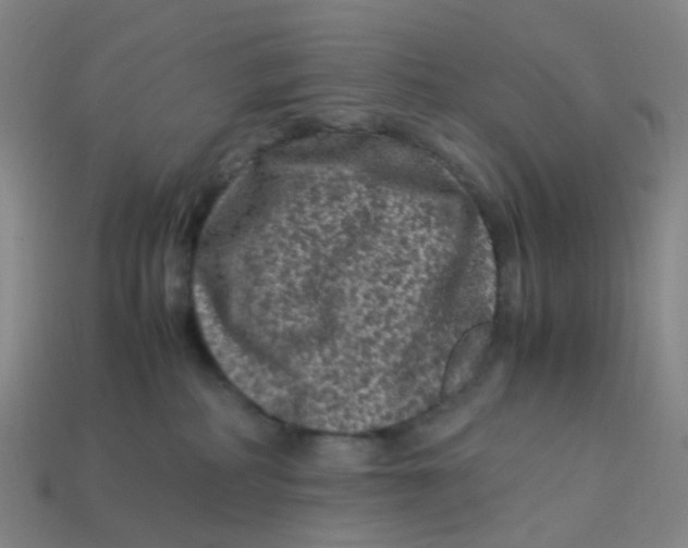 X0000113330234200910131155