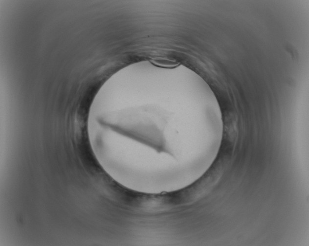 X0000113330235200910131155