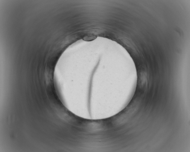 X0000113330236200910131155