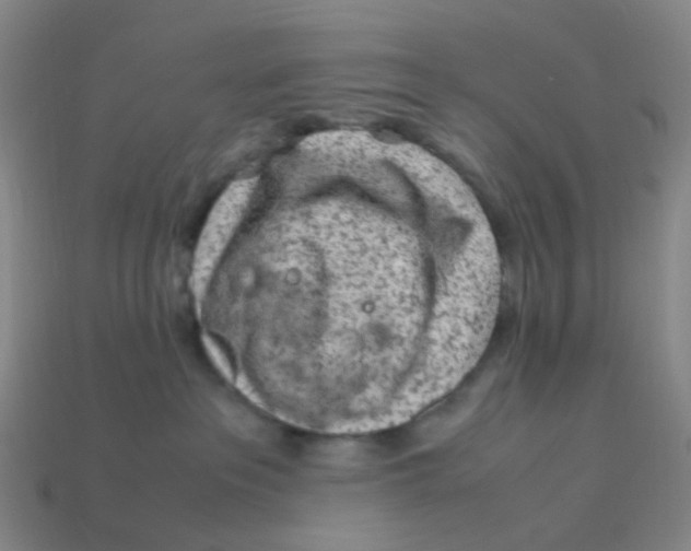 X0000113330237200910131155