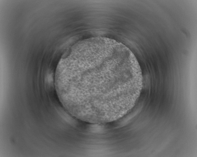 X0000113330238200910131155