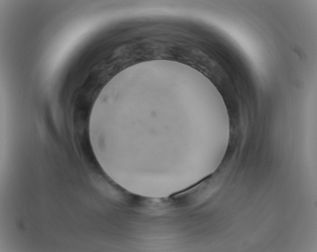 X0000113330239200910131155