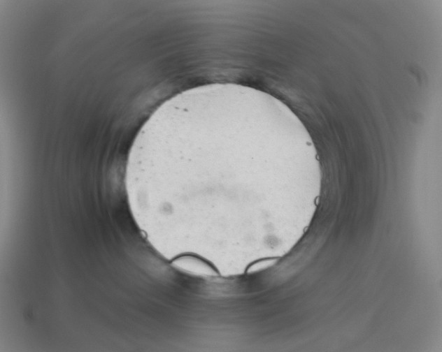 X0000113330240200910131155