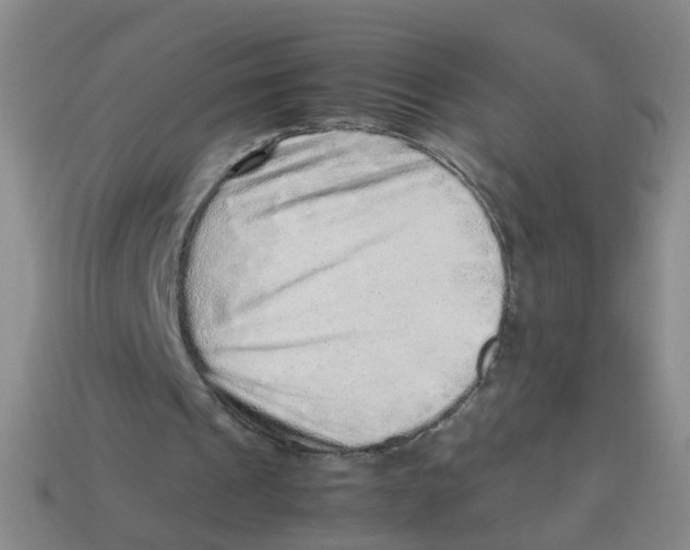 X0000113330241200910131154