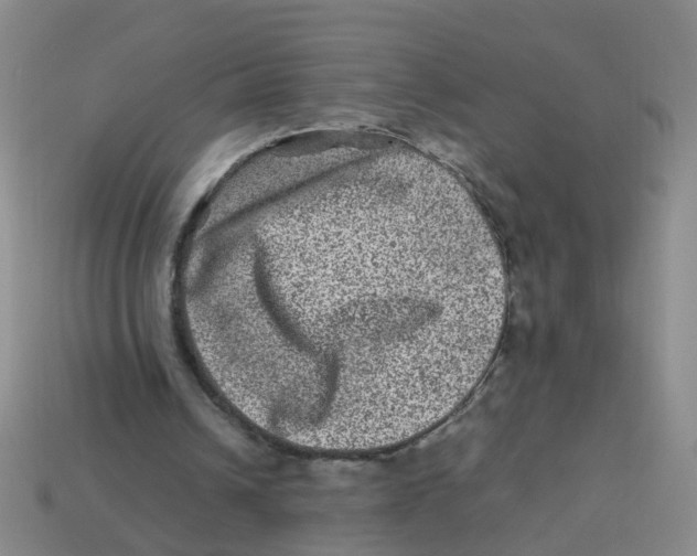 X0000113330242200910131154