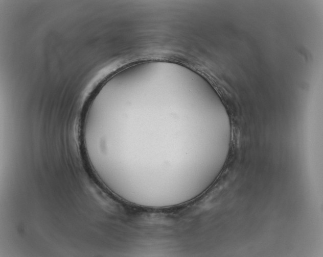 X0000113330244200910131154
